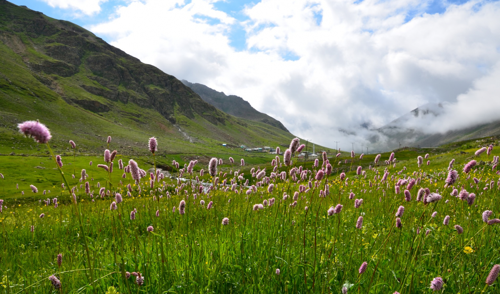 eastern-black-sea-2474832_1920