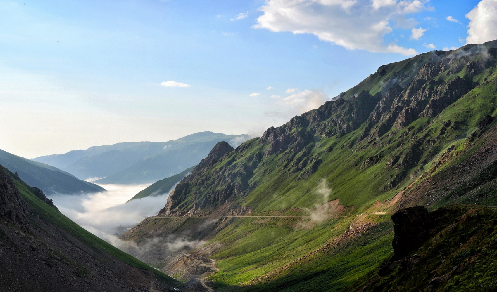 kackars-2398690_1920